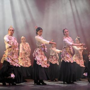 Fotografía de Talleres Danza Española (galería 2) - Conservatorio de Danza